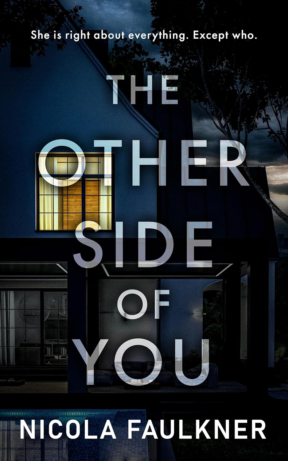 The Other Side of You Book Cover